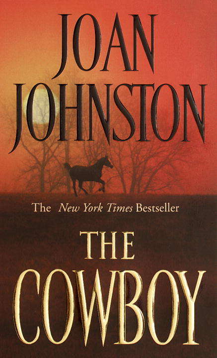 Book cover of The Cowboy