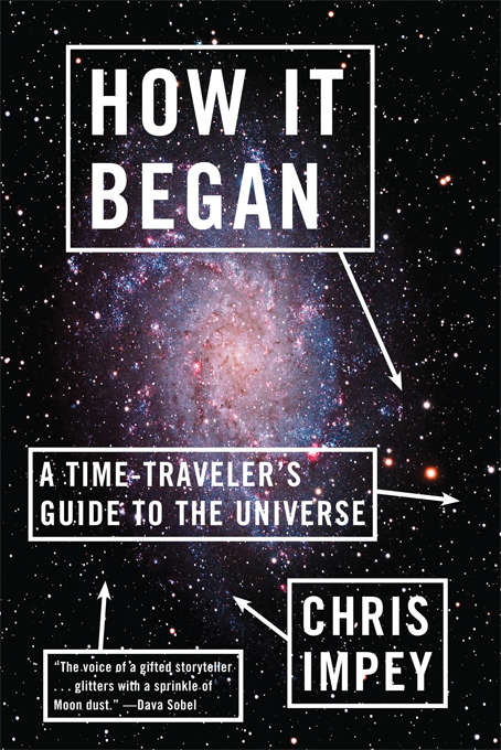 Book cover of How It Began: A Time-Traveler's Guide to the Universe