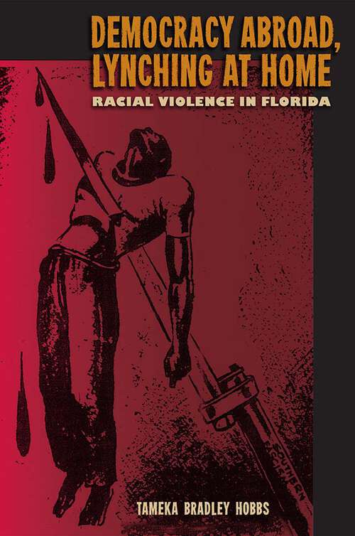 Book cover of Democracy Abroad, Lynching at Home: Racial Violence in Florida