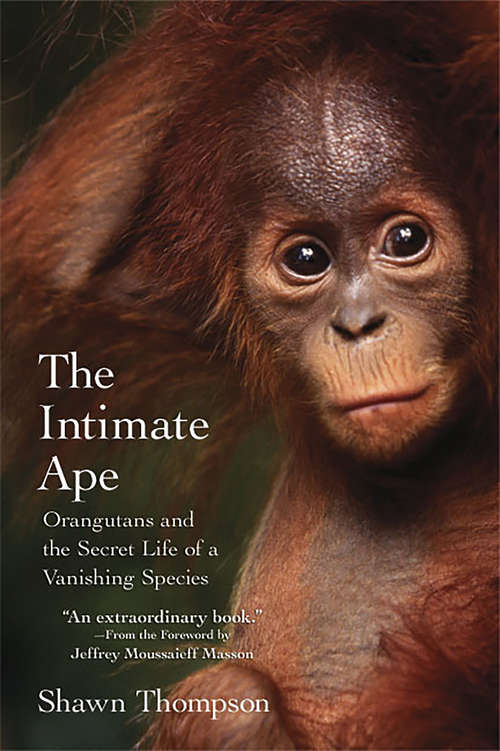 Book cover of The Intimate Ape