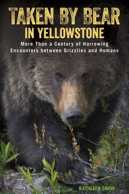 Book cover of Taken by Bear in Yellowstone: A Century of Harrowing Encounters between Grizzlies and Humans