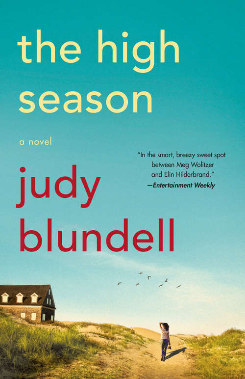 Book cover of The High Season: A Novel