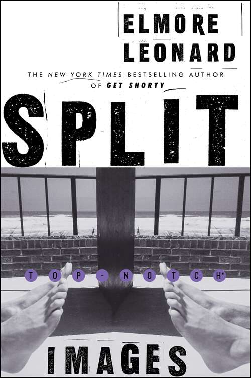 Book cover of Split Images