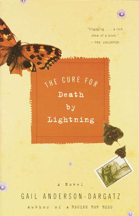 Book cover of The Cure for Death by Lightning