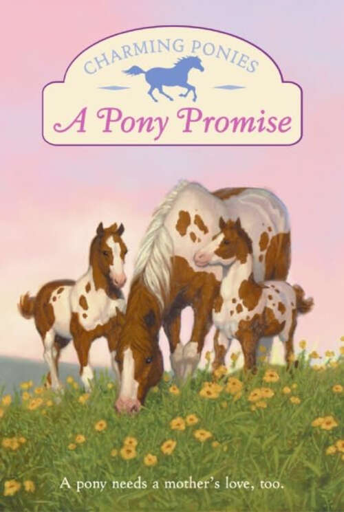 Book cover of A Pony Promise (Charming Ponies)