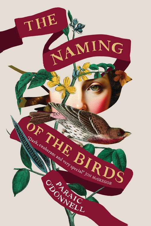 Book cover of The Naming of the Birds