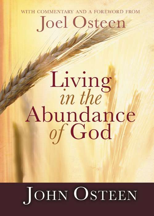 Book cover of Living in the Abundance of God