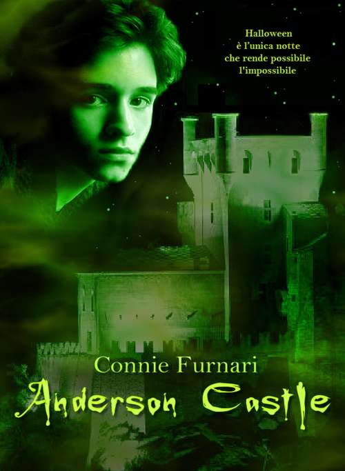 Book cover of Anderson Castle