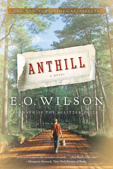 Book cover of Anthill: A Novel