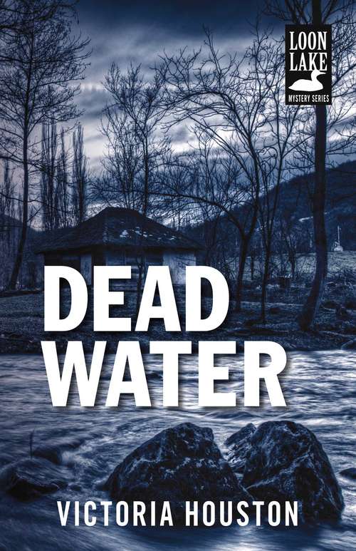 Book cover of Dead Water (Loon Lake Fishing Mystery #3)