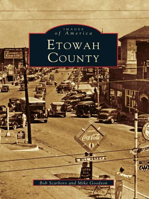 Book cover of Etowah County