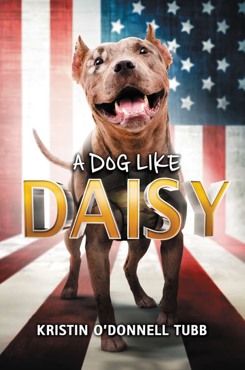 Book cover of A Dog Like Daisy