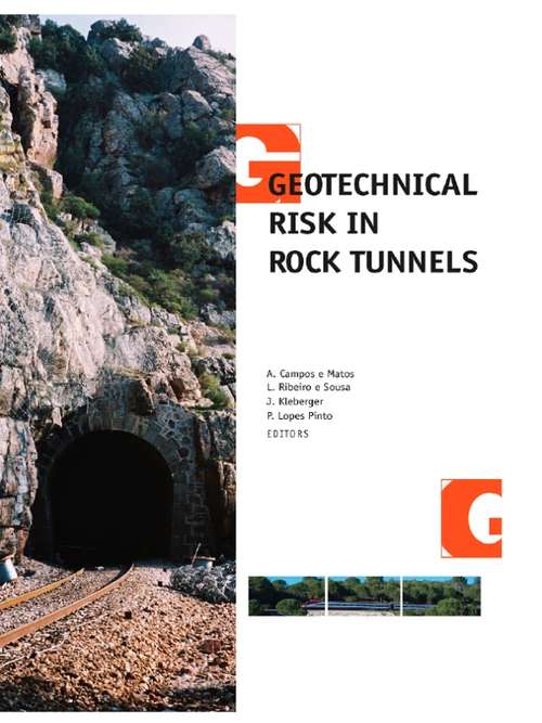 Geotechnical Risk in Rock Tunnels: Selected Papers from a Course on Geotechnical Risk in Rock Tunnels, Aveiro, Portugal, 16-17 April 2004
