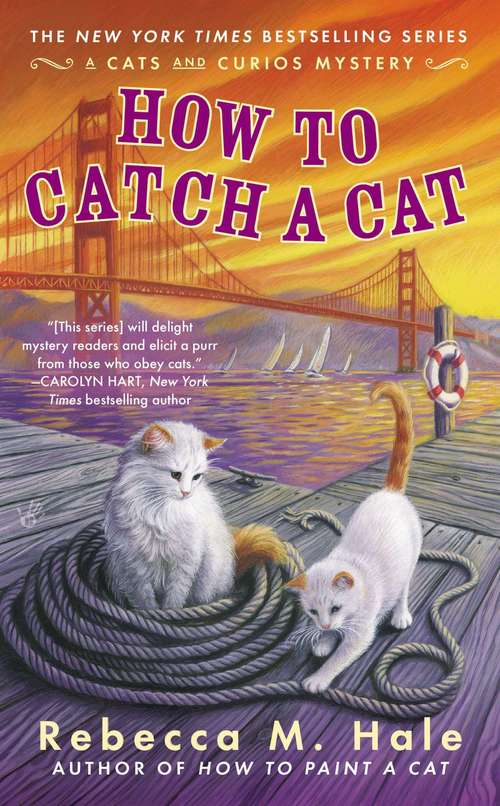 Book cover of How to Catch a Cat
