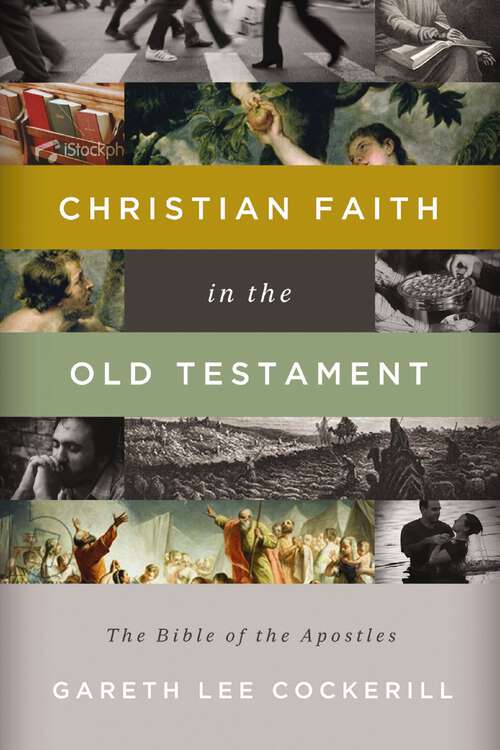 Book cover of Christian Faith in the Old Testament
