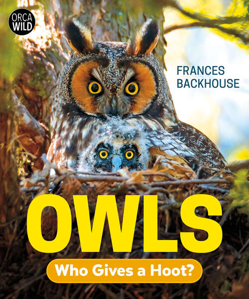 Book cover of Owls: Who Gives a Hoot? (Orca Wild #13)