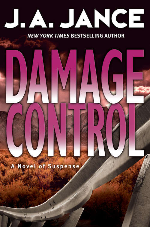Damage Control (Joanna Brady #13)