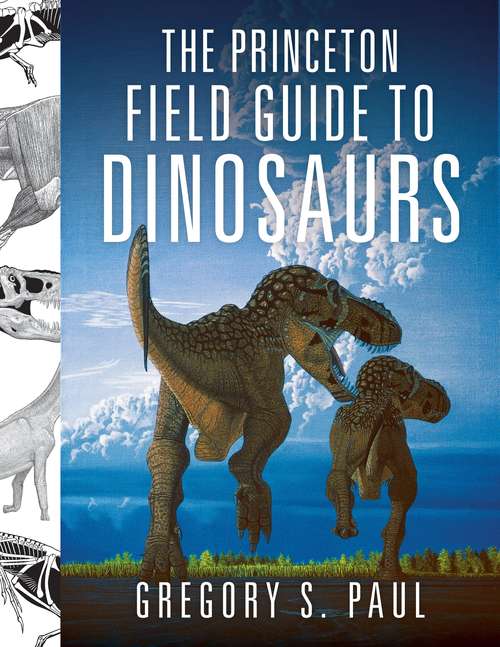 Book cover of The Princeton Field Guide to Dinosaurs