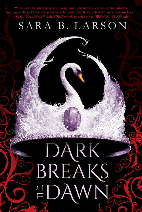 Book cover of Dark Breaks the Dawn (Scholastic Press Novels)
