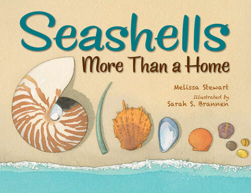 Book cover of Seashells: More Than a Home
