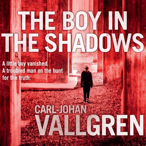Book cover of The Boy in the Shadows