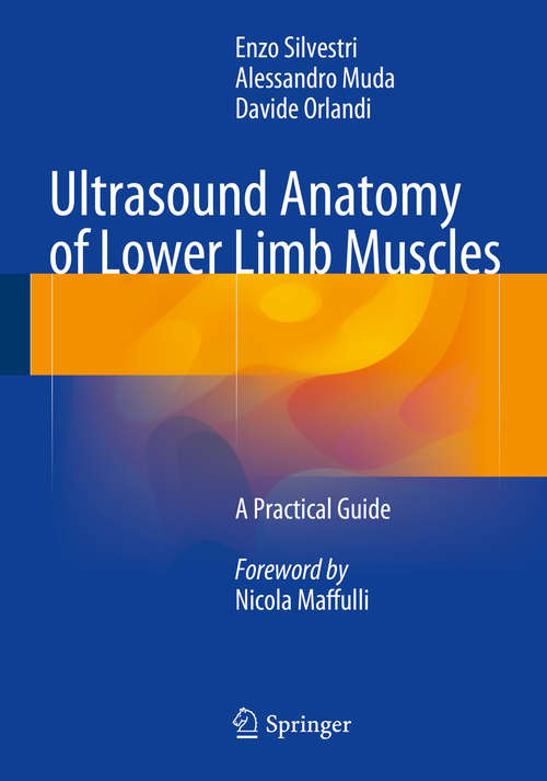 Ultrasound Anatomy of Lower Limb Muscles
