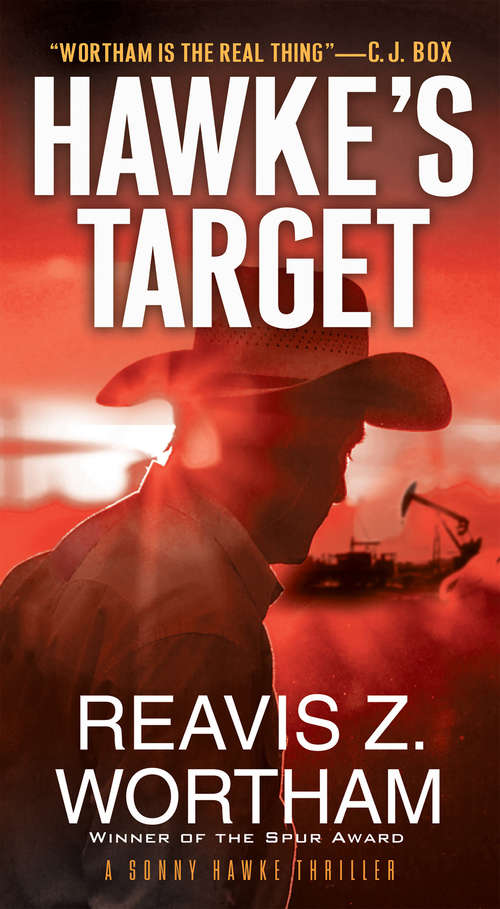 Hawke's Target (A Sonny Hawke Thriller #3)