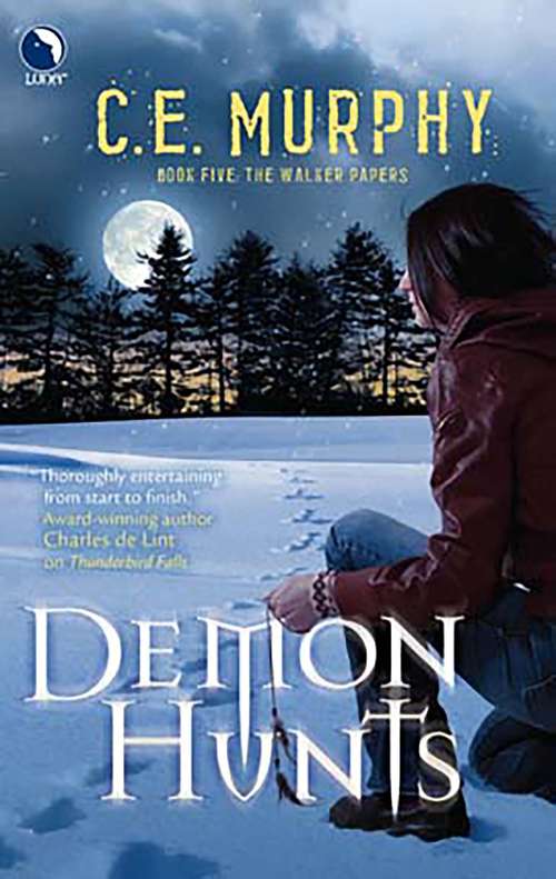 Book cover of Demon Hunts
