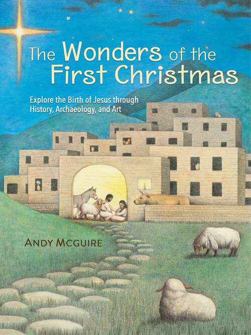 Book cover of The Wonders of the First Christmas: Explore the Birth of Jesus through History, Archeology, and Art