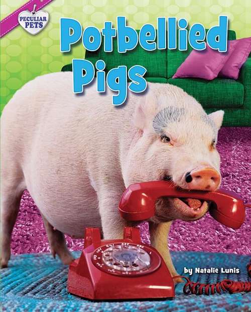 Book cover of Potbellied Pigs (Peculiar Pets)