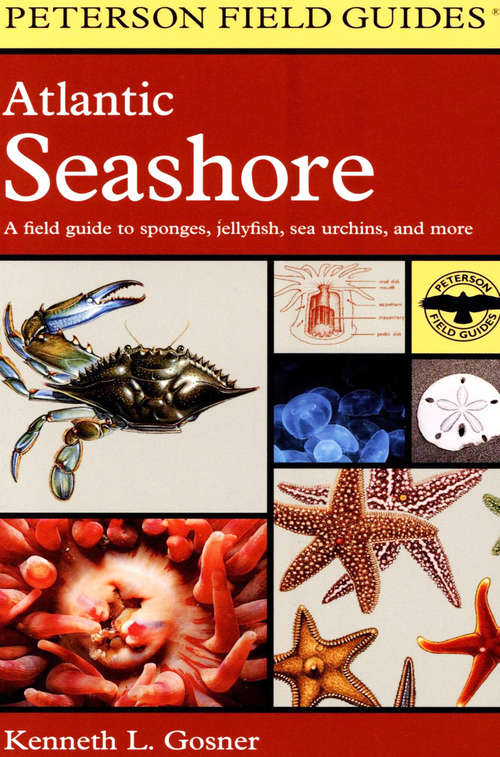 Book cover of A Field Guide to the Atlantic Seashore: From the Bay of Fundy to Cape Hatteras