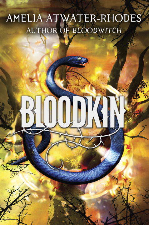 Book cover of Bloodkin (Medieval Mysteries #2)