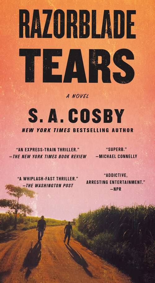 Book cover of Razorblade Tears: A Novel