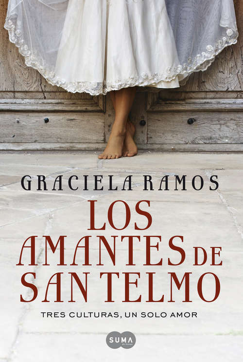 Book cover of Los amantes de San Telmo