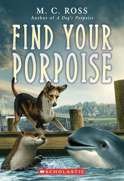 Book cover of Find Your Porpoise