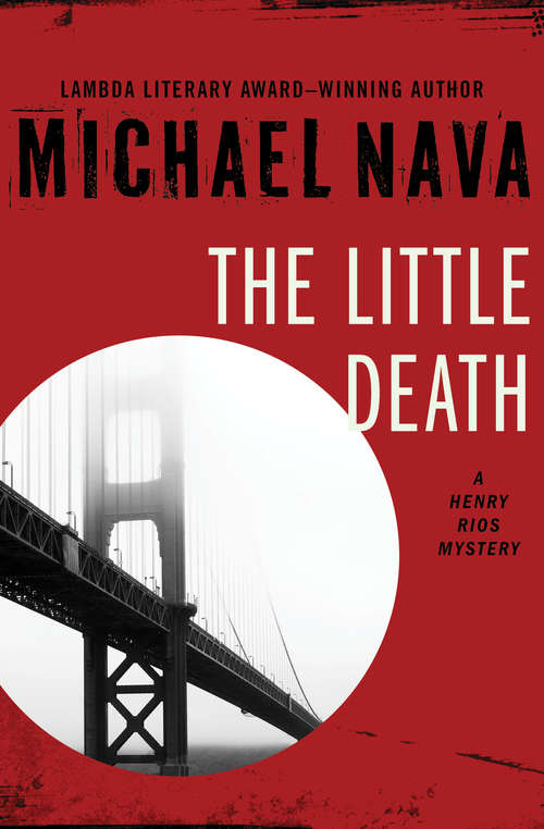 Book cover of The Little Death