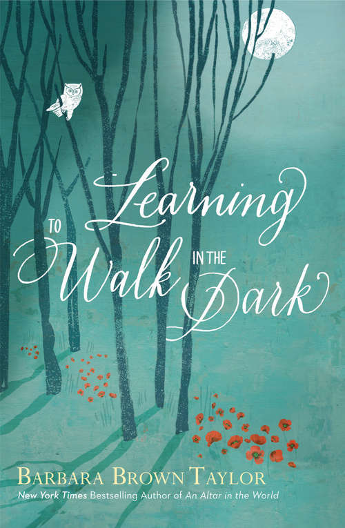 Learning to Walk in the Dark: Because God Often Shows Up At Night