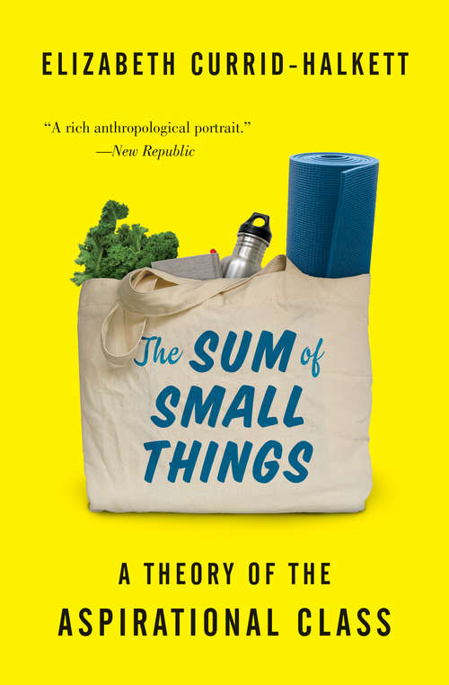 Book cover of The Sum of Small Things: A Theory of the Aspirational Class