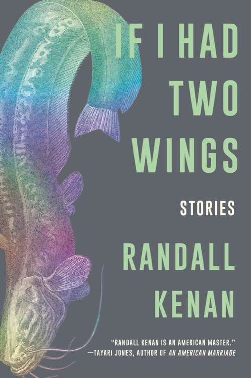 Book cover of If I Had Two Wings: Stories