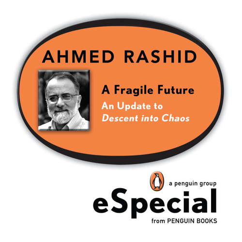 Book cover of A Fragile Future