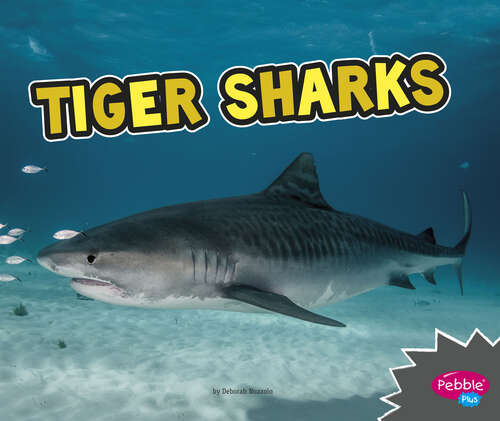 Book cover of Tiger Sharks (All About Sharks Ser.)