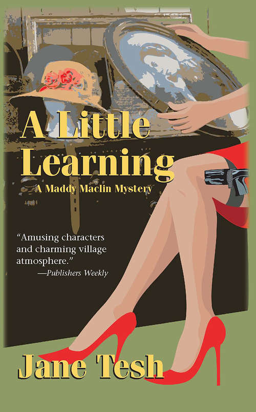 A Little Learning: A Madeline Maclin Mystery (Madeline Maclin Series #3)