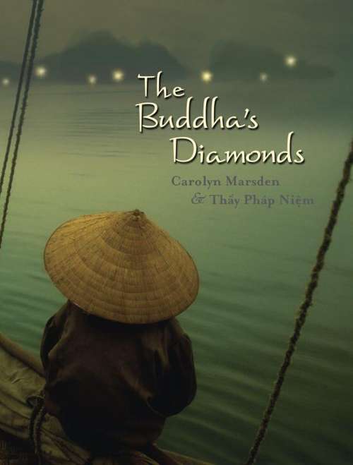 Book cover of The Buddha's Diamonds