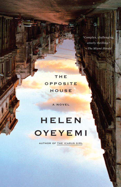 Book cover of The Opposite House