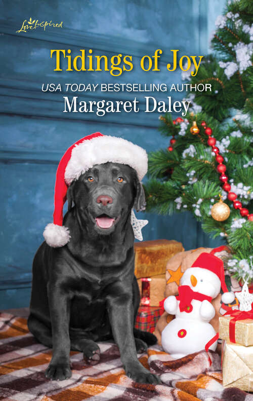 Book cover of Tidings of Joy (The Ladies of Sweetwater Lake #5)