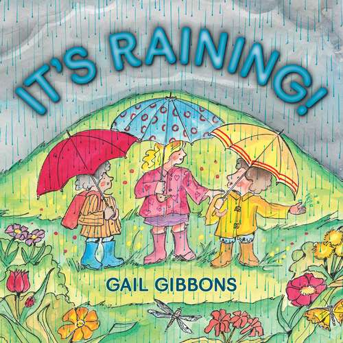 Book cover of It's Raining (Live Oak Media Ereadalong Series)