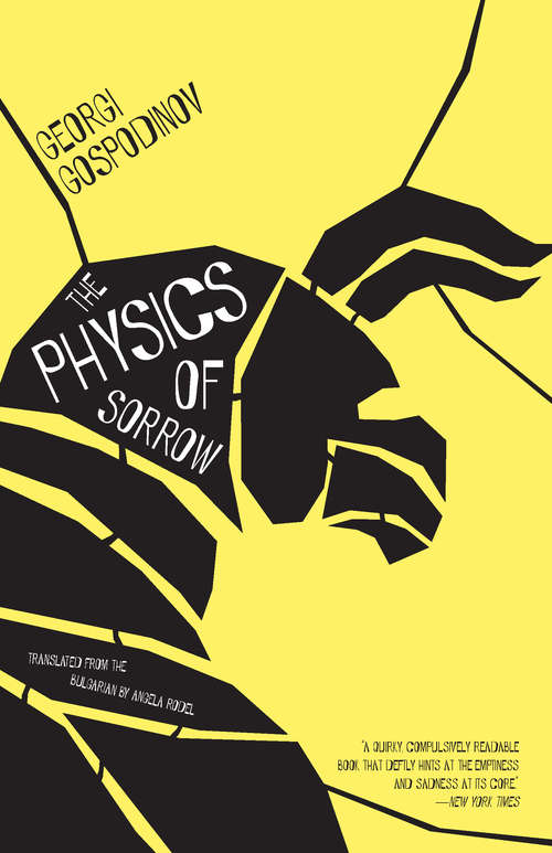 Book cover of The Physics of Sorrow
