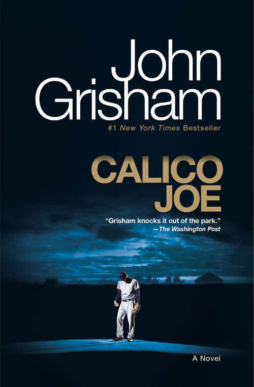Book cover of Calico Joe