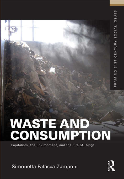Book cover of Waste and Consumption