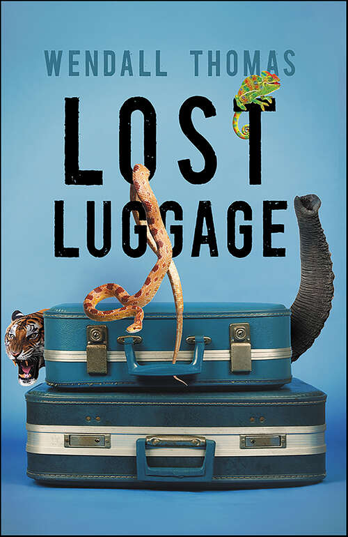 Book cover of Lost Luggage (Cyd Redondo Mysteries #1)